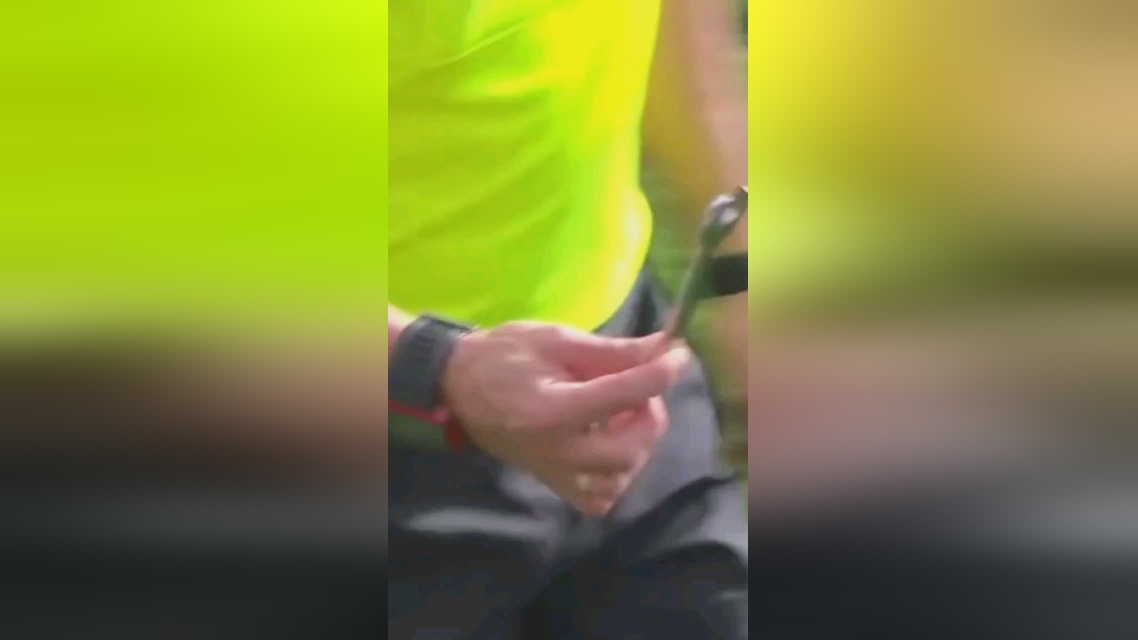 是智利乃至